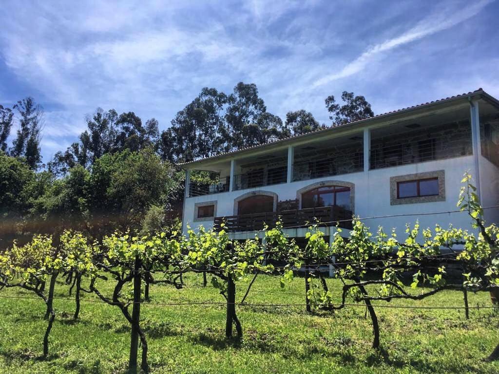 Quinta Da Quinta, Private Room Vieira do Minho Dış mekan fotoğraf